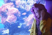 崩坏，星穹铁道模拟宇宙速通，命途选择 角色配队黄金公式｜高分攻略